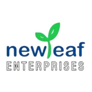 new-leaf-300x300-removebg-preview