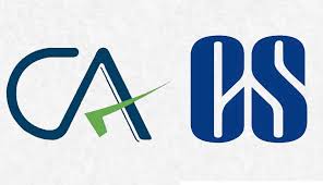 CA firm accounting work