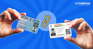what is PAN used for financial transactions India