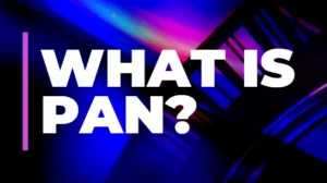 What is PAN